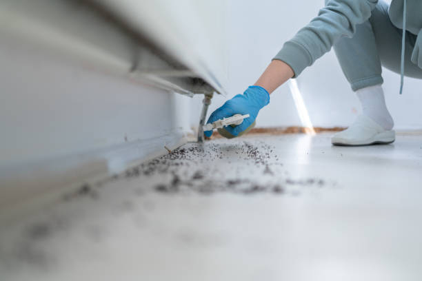 Draper, UT Pest Control Company